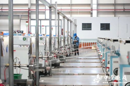 筑夢(mèng)現(xiàn)代化共繪新圖景 安徽擔(dān)當(dāng)，蕪湖老鄉(xiāng)鳳還巢聚焦綠色智能新材料與教育咨詢服務(wù)